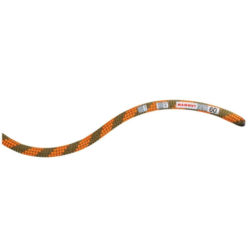 Corda singola Mammut 9,5 Corda a secco per falesia (Boa Safety)