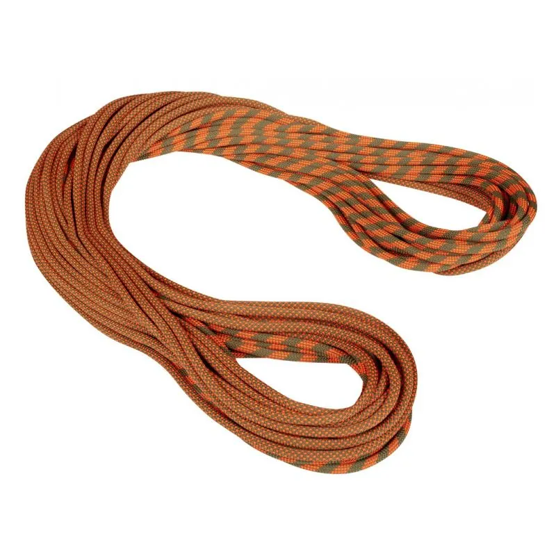 Corda singola Mammut 9,5 Corda a secco per falesia (Boa Safety)